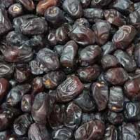 mazafati dates supplier